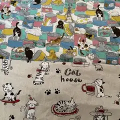 猫生地二枚