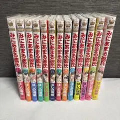 みにあまる彼氏 全巻セット