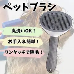 Item thumbnail for item 1734c202-2187-4b72-b52a-25afc5c696d6