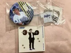 横浜ベイスターズ バッジとキーホルダーセット 0 大田泰示選手