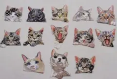 猫の刺繍をしたアイロンワッペン 13種類セット