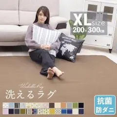 ラグ カーペット ラグマット 3.5畳 洗える 200×300 オールシーズン