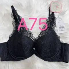 Item thumbnail for item ef81fe74-f3cd-4108-9011-fa4259b68e91