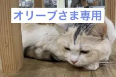 【オリーブさま専用】GU Tシャツ