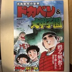ドカベン & 大甲子園　水島新司の世界