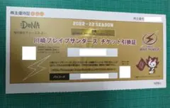 2022-23シーズン 川崎ブレイブサンダース