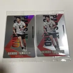 山内晶大選手 ウエハースカード