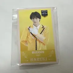 エビライ インビテーションカード BUDDiiS HARUKI
