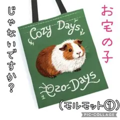 新品♥モルモットエコバッグ♥①♥