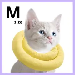 Item thumbnail for item c112bf85-e15e-475d-a78a-1f37bb63e9c7