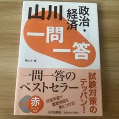 山川 一問一答政治・経済