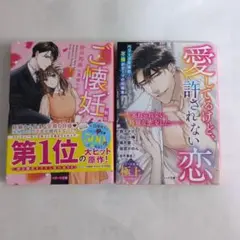 ベリーズ文庫「ご懐妊!!新装版」・「愛してるけど、許されない恋 」セット