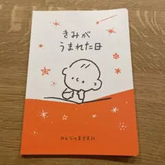ベルメゾン きみがうまれた日 育児日記