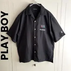 Item thumbnail for item 170c598e-ae68-432b-9c77-ae75168c83dd