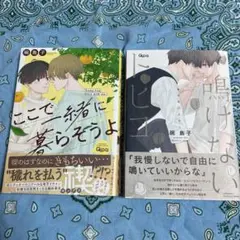ボーイズラブ漫画 2冊セット