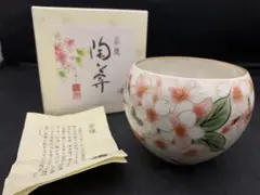 Item thumbnail for item bd141003-4c9a-4f07-a502-46b3ae06df81