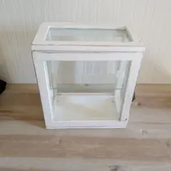 サリュ　ガラスケース　キャビネット