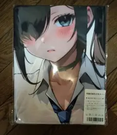 ナガ NIKKE 両面 抱き枕カバー 98×48cm