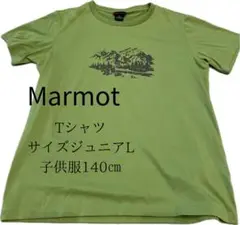 MarmotマーモットTシャツジュニアL 140cmグリーンアウトドア