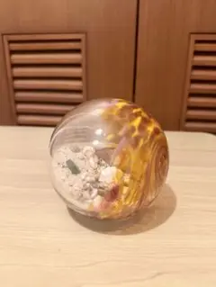 ガラスのオブジェ　サンドシェル　シーグローブ