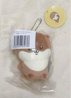 ナガノくじ　カワウソくじ
