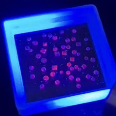 交渉歓迎⭕️蛍光★ 赤系ルース ルビー？ メレ セット