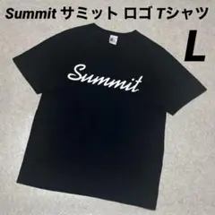 Summit サミット 両面ロゴ Tシャツ L