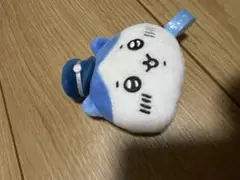 ハチワレメジャー