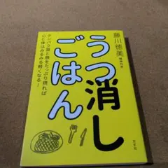 うつ消しごはん タンパク質と鉄をたっぷり摂れば心と体はみるみる軽くなる!