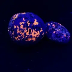 Item thumbnail for item 2bcdceea-a395-40d4-a9e6-b044c04f1863