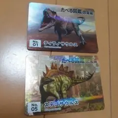 知育菓子 恐竜カード 2枚セット 110