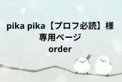 pika pika【プロフ必読】様　専用ページ