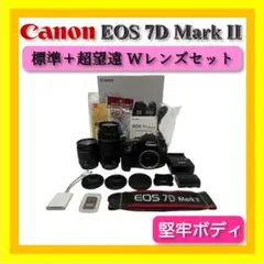 Item thumbnail for item 020d46e3-8e3f-4402-9f4d-fee71b77adf5