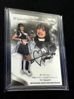 Item thumbnail for item afcd91fc-4791-4812-a719-80f549cdfcff