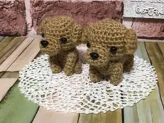 ミニチュアサイズの双子ちゃんビーグル