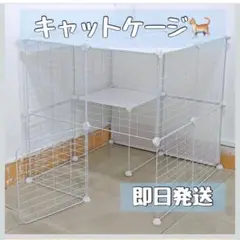 Item thumbnail for item 54fb8522-d122-4cd8-b676-5515d7ced26e