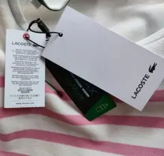 【新品未使用】LACOSTE クールマックス　ミラノリブニットボーダーTシャツ