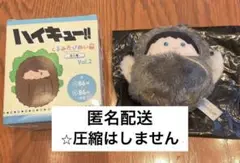 たぴぬい くるみたぴぬい vol.2 ハイキュー　赤葦京治　キーホルダー
