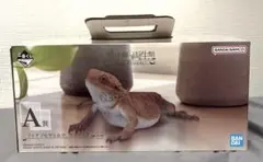 Item thumbnail for item 28d4f3c3-c231-48ba-868b-e79849045b91