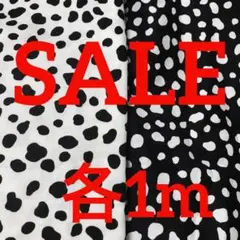 Item thumbnail for item df6f0987-9dd3-4821-889d-3b11fe396ac6