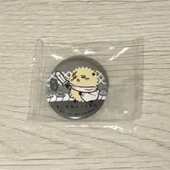 ラッコ 缶バッジ くら寿司