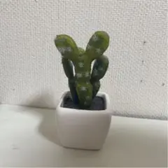 サボテン 置物 インテリア 植物