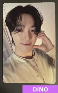SEVENTEEN UNIT PHOTOBOOK ディノ　トレカ