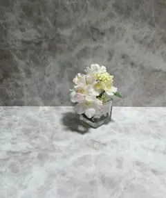 (どりー様)