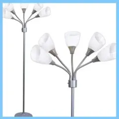 Item thumbnail for item 03473988-f077-4a97-adc0-2f5f291b6d60