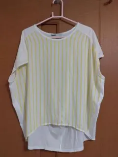 isato ストライプ 半袖Tシャツ