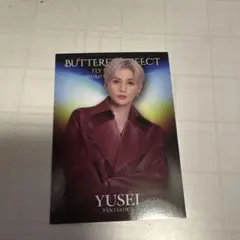 BUTTERFLY EFFECT 八木勇征 フォトカード