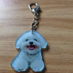 新品未使用の可愛いビション・フリーゼ キーホルダー