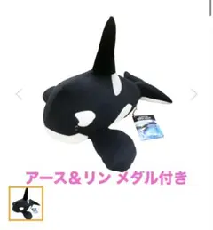 名古屋港水族館 シャチ アース もちもちぬいぐるみ オルカ