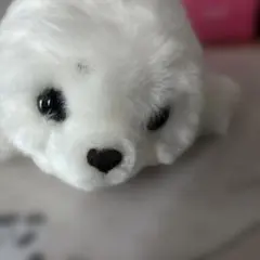 ぬいぐるみ